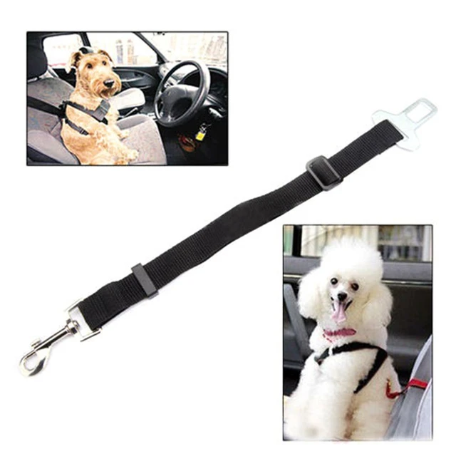 Correa ajustable para perros y gatos, arnés para cinturón de seguridad de  coche, Collar de tracción de plomo, suministros para mascotas - AliExpress