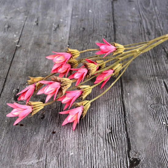 Аксессуары для украшения дома сушеные цветы букет праздничные сделай сам