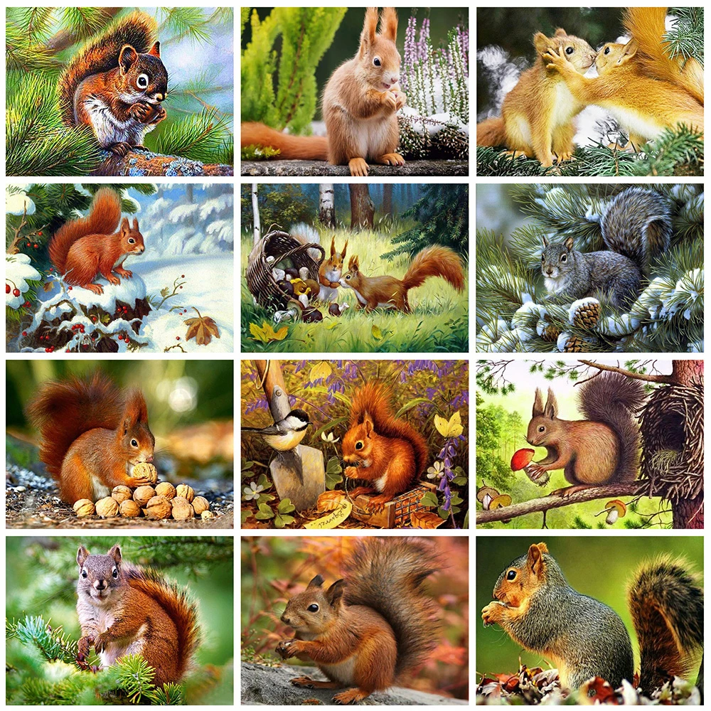 Evershine Diamond Embroidery Squirrel Full Square Painting Cross Stitch Animal Picture Of Rhinestones Mosaic Home Decor | Дом и сад