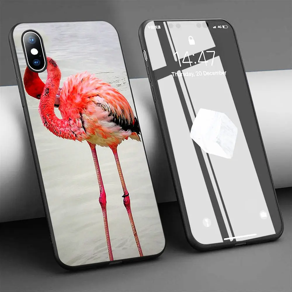 Мягкий силиконовый чехол для iPhone 11 Pro Max X 5S 6 6S XR XS 7 8 Plus | Мобильные телефоны и