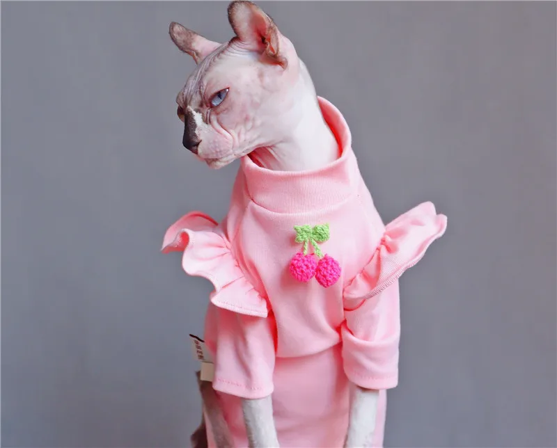 Extremely adorable, strawberry sphynx cat dress/shirt