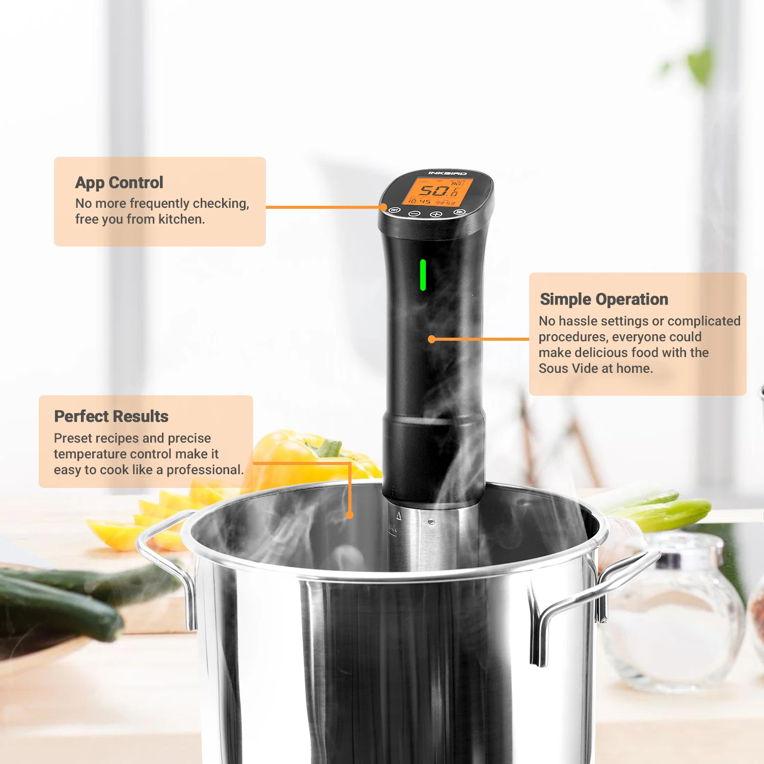 INKBIRD ISV-200W Electric Sous-vide Powerful Vacuum Cooker Kitchen Cooking  Immersion Heater Stainless Steel Machine 15L Capacity - AliExpress