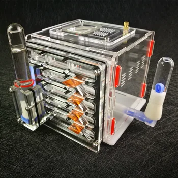 

DIY Transparent Acrylic Ant Farm Backyard Insect Collection Reptile Terrarium Unique Gifts