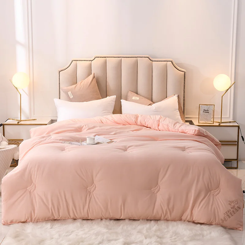 

New Style Down Comforter For Winter &Autumn Duvet Insert Blanket Filling Feather Down Quilt Duvet King Queen Twin Size