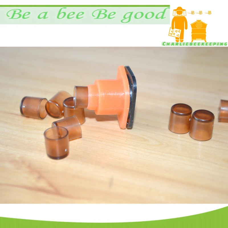 utensílios para apicultura