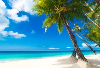 

Laeacco Summer Seaside Beach Island Coconut Tree Scene Realistic Photography Backgrounds Photographic Backdrop For Photo Studio