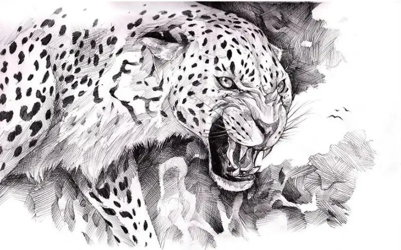 Современные пользовательские 3D обои черный и белый эскиз мода простой Леопард