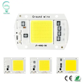 

COB LED Lamp Chip Real Power 10W 20W 30W 50W LED Lamp Bulb 220V 240V IP65 Smart IC For DIY LED Flood Light Spotlight