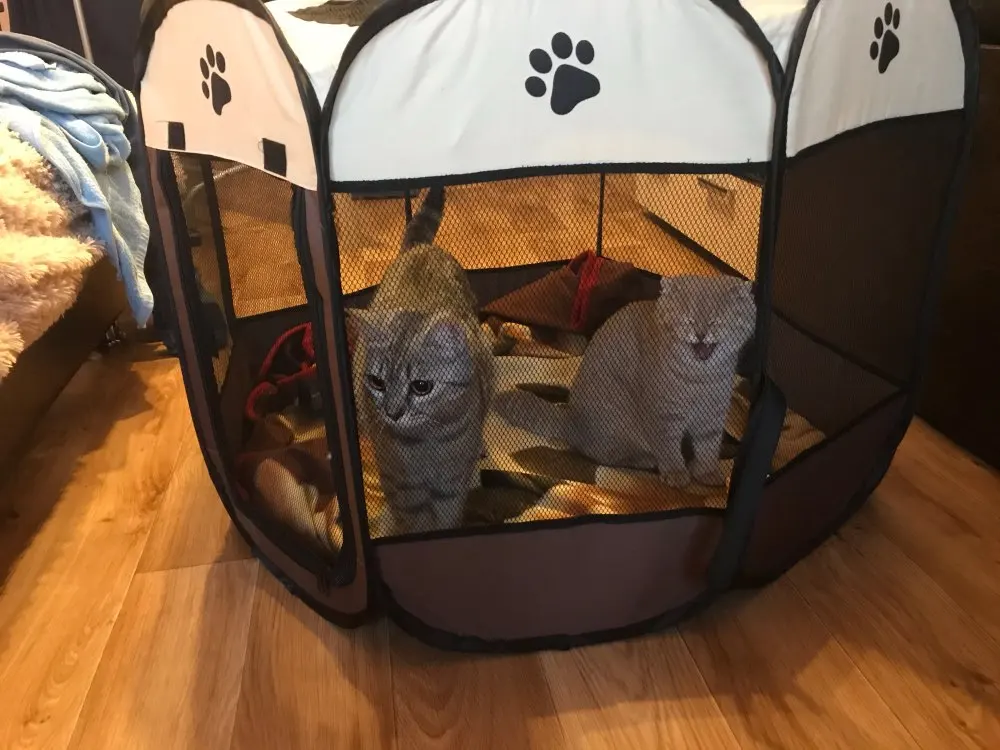 U0cd27974be63416c8584658b0590cb9ec