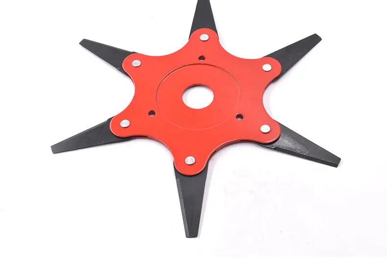 11423144229_1180556948