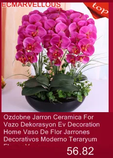Вазо яррон Decoracion Suculenta Vaas Jarrones Decorativos модно ВАСО де Флор аксессуары Современное украшение для дома ваза для цветов