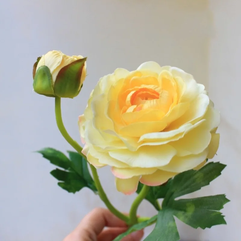 9368814491_2132096240