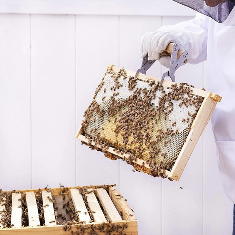 Деревянная рамка в виде пчелиного улья Держатель захват кадра инструмент для