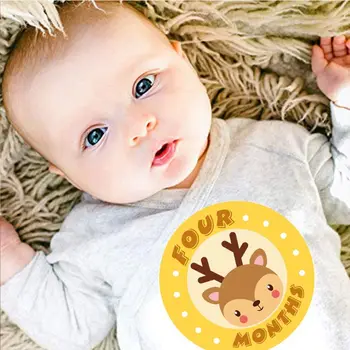 

Baby Monthly Stickers,Baby First Year the Month Age Growth Milestones Animal Stickers Unisex,1 to 12 Month