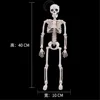 40CM Skeleton Model Wholesale Learn Aid Anatomy art sketch Halloween Flexible Human Anatomical Anatomy bone ► Photo 3/6