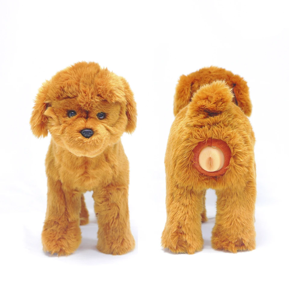 dog teddy for dog