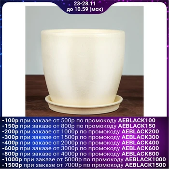 

Flowerpot Autumn, mother-of-pearl, beige, 1 L 2472437