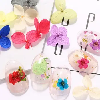 

12Grid/Box Crystal Epoxy Filler Dry Flower Mixed Nail Stickers Decorations Craft