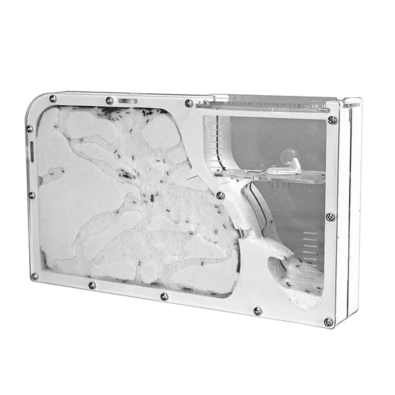 Big-formicarium-Ant-Nest-Ant-Farm-Acrylic-Insect-ants-house-Ecological-Workshop (1)