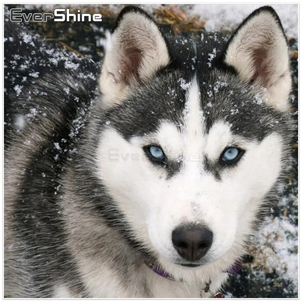 EverShine Wolf Diamond Painting Full Round Embroidery Cross Stitch Animals Pictures Of Rhinestones Mosaic Wall Deocr | Дом и сад