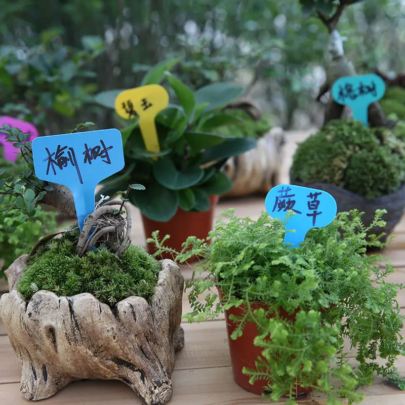 10 Pcs Garden Labels Gardening Plant Classification Sorting Sign Tag Ticket Plastic Writing Plate Board Plug In Card White | Дом и сад