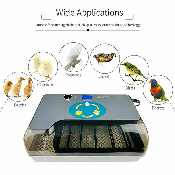 Инкубатор для яиц цифровой полностью автоматический 12 яиц домашней птицы инкубатор для цыплята, утки BJStore