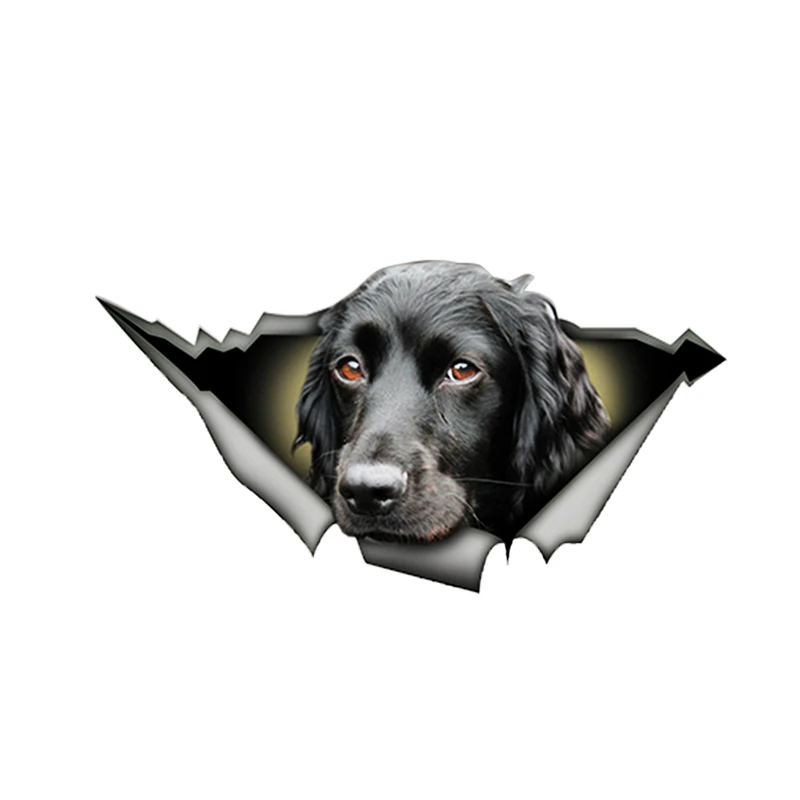 

13 см * 6 см 1 шт. черный кокер-спаниель рваная Металлическая Автомобильная наклейка креативная наклейка для ноутбука мотоцикла автомобильное украшение ПВХ