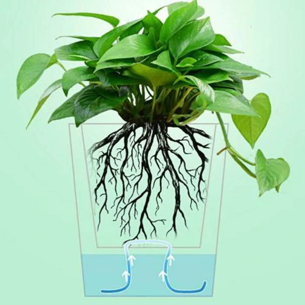 Details about  / DIY Self Watering Wicking Cord Plant Bonsai Hydroponic Automatic Irrigate Rope