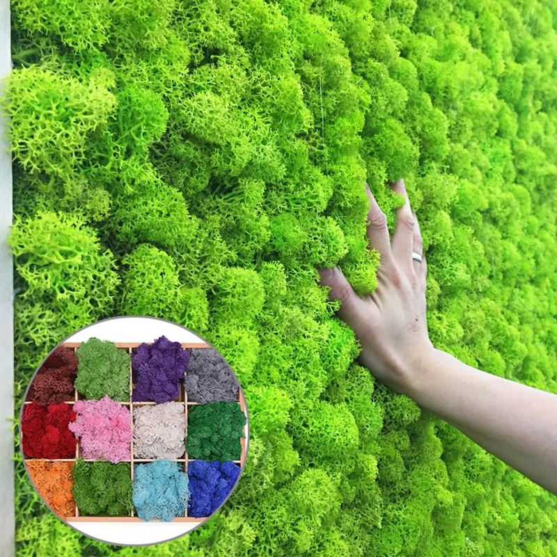20 г искусственное растение вечная жизнь мох сад украшение дома стены DIY цветок материал Мини Сад Микро Ландшафтные аксессуары