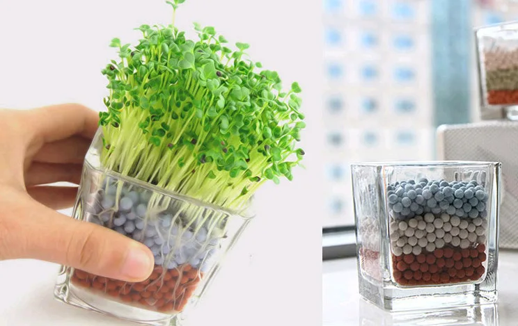 Суккулент украшения тротуар питание Средний отрицательный ион Soilless посадки цвет tao li qiu многоцветные растут водный цветок