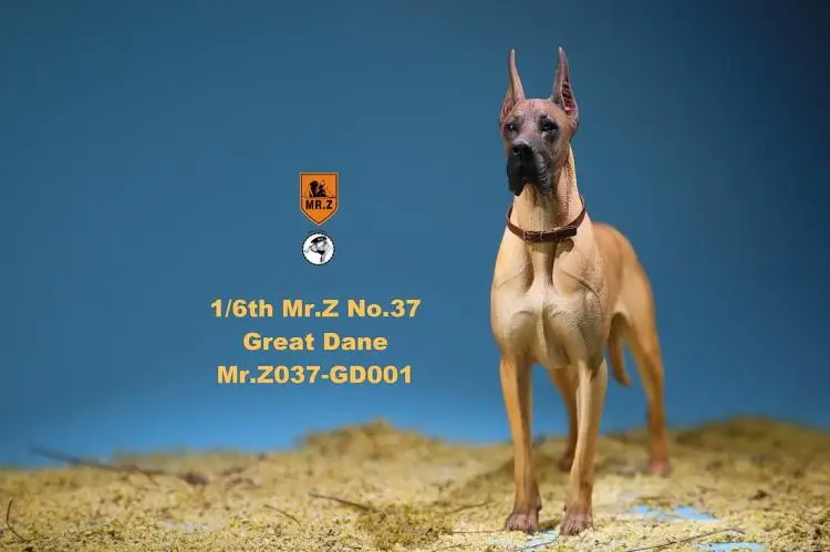 1/6 масштаб Pet Dog модель Mr. Z MRZ037 немецкий Great Dane(все 6 цветов) для 12 дюймов Экшн фигурки аксессуары коллекции