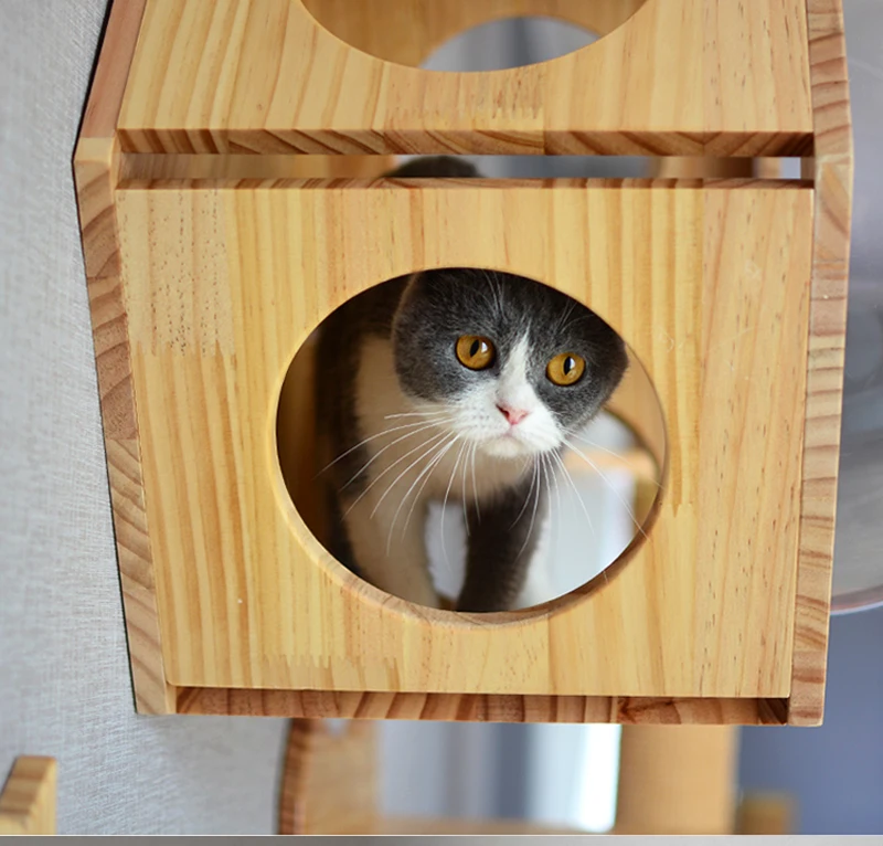 Móveis e acessórios p/ gatos