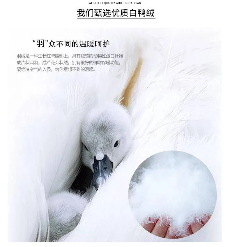 Long Sleeve Long Straight-Cut Pocket Winter White Duck down Convention Solid Color Polo Collar Simple Fashion down Jacket