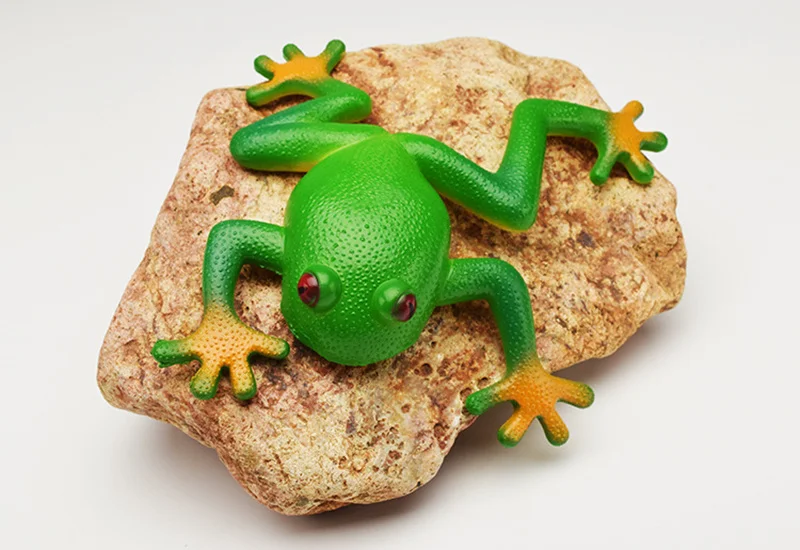 9169325894_805265677