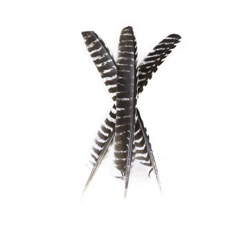 

10pcs/Lot Turkey Feather 20-25CM Crafts handwork Decorative Natural Color Wave Turkey Plumes for Jewelry Decoration