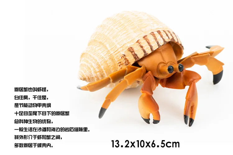 Модель, модель животного, игрушка, саблезубый тигр, морской биологический краб, отшельник, краб, обучающая игрушка