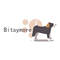 Bitsymore Store