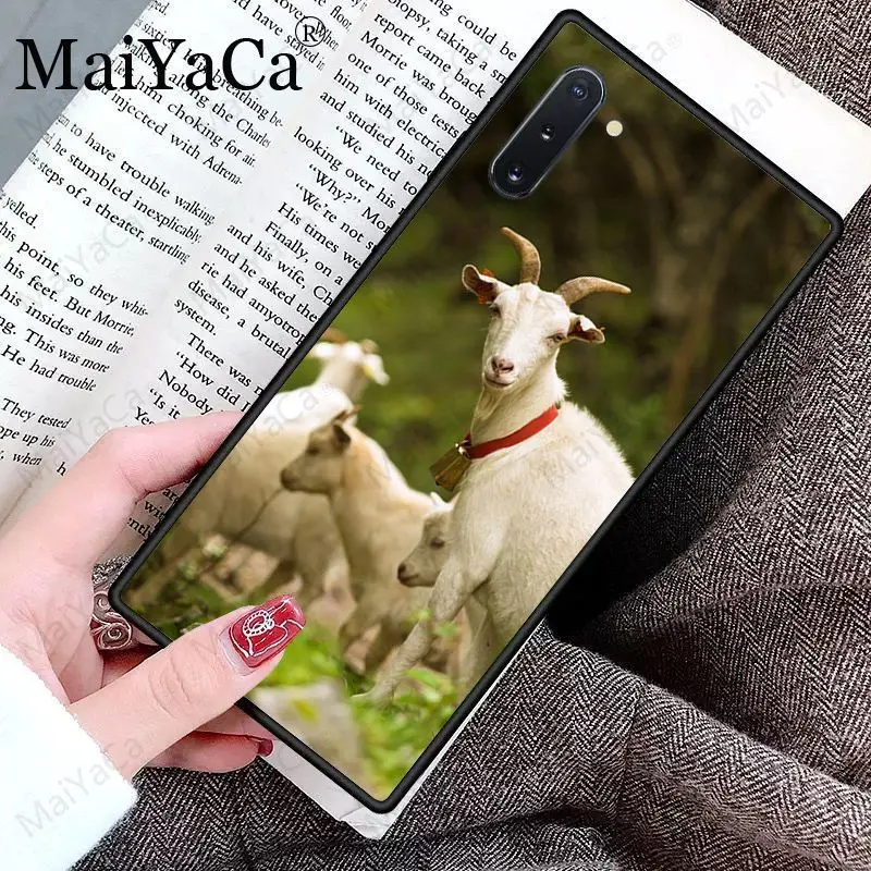 Cute Goat Meme Alpaca
