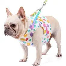 1 Set Cute Pet Harness Leash Wave Point Pattern Anti-escape Skin Friendly Dogs Chest Strap Traction Rope Kit for Pet Training
1 Set Cute Pet Harness Leash Wave Point Pattern Anti-escape Skin Friendly Dogs Chest Strap Traction Rope Kit for Pet Training