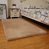 Bubble Kiss Imitation Rabbit Hair Carpet for Living Room Home Thickened Fluffy Plush Bedside Decor Area Rug Super Soft Pet Mat 2