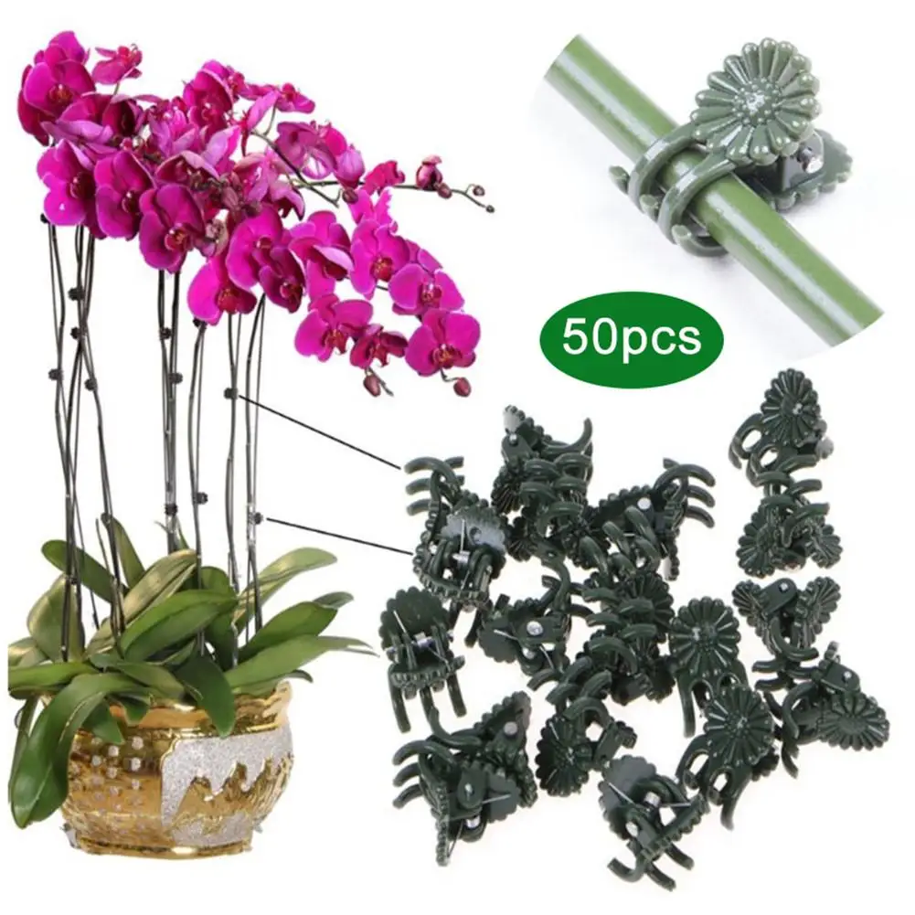 

50PCS Plant Clips Plant Orchid Support Clips Flower Vine Clips For Supporting Stems Vines Grow Upright Garden Tool