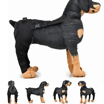 

Pet Dog Adjustable Knee Pads Support Brace Right Left Leg Hock Joint Wrap Breathable Injury Recover Legs Dog Protector Support