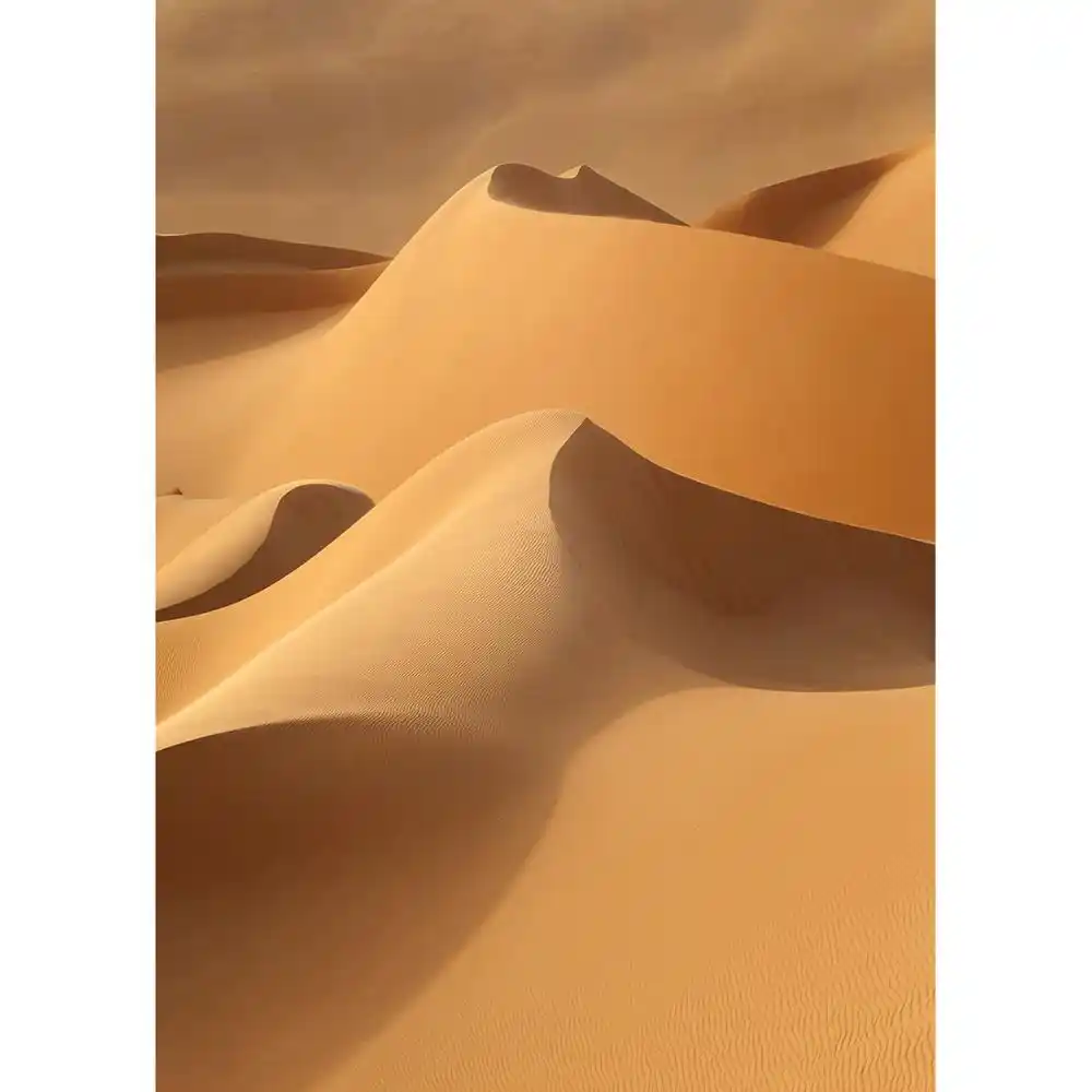 Sand Desert Scenery Photo Backdrop Vinyl Cloth Photobooth Background For Baby Children Portrait Photoshoot Photography Props Background Aliexpress