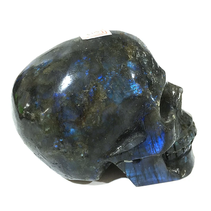 labradorite Природный Рок-кристалл резной Лабрадорит череп реалистичный фэн-шуй Исцеление Рейки Для Коллекция рождественских подарков pp - Цвет: labradorite