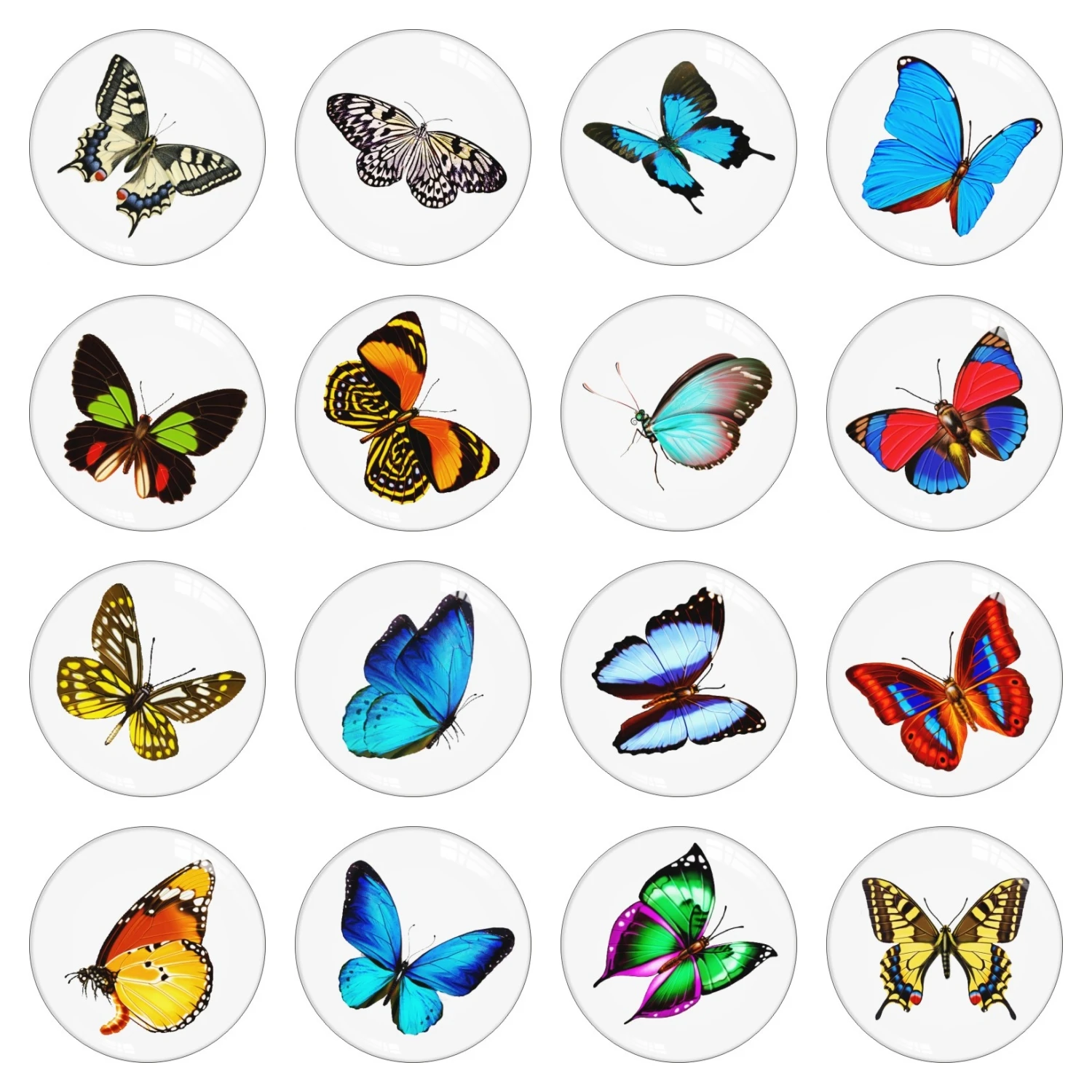 Красивая красочная бабочка фото стекло кабошон Demo плоская задняя 12 мм 14 16 18 25 DIY