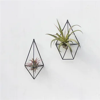 

Wall Mounted Air Plants Holder Irregular Geometric Metal Hanging Rack for Branch Eave Ceiling SNO88