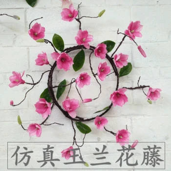 

Top Grade Model Magnolia Vine Foaming Timbo Decoration Dry Vine Home Improvement Wedding Landscaping Art