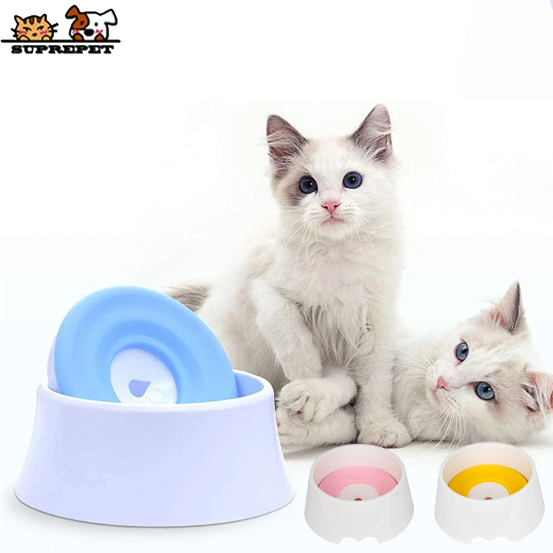 water bowl for cats that splash water