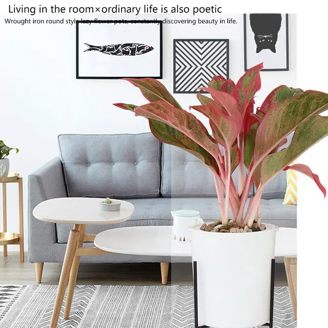 Kezdőlap Zöld Ültetvényes Egyszerű Virágcserép Szett Nappali Északi Stílusú Kerti Beltéri Dekoratív Vasállvány Ön Öntözési Váza - Image 4