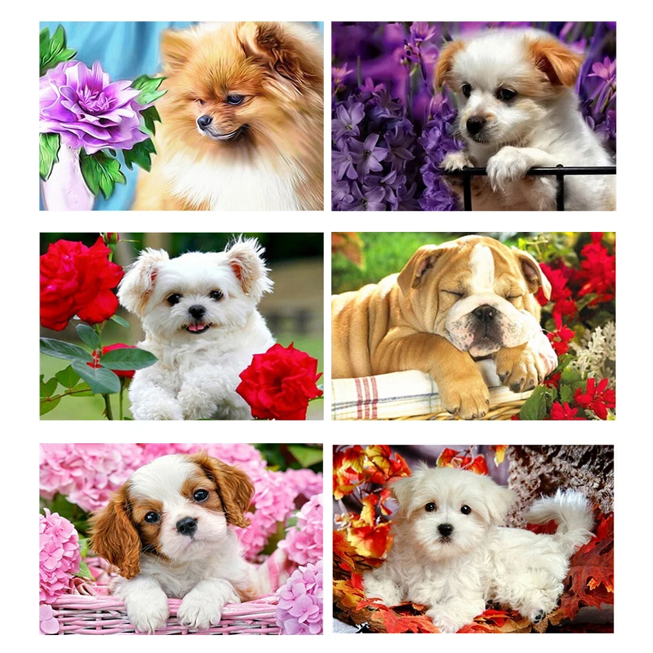

5D Diamond Painting Flowers Cute Dog Animal Diamond Picture Full Round Drill Embroidery Diamond Cross Stitch Home Decor Rp542